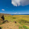 Rano Raraku (External Slope 06 of 13)