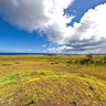 Rano Raraku (External Slope 13 of 13)