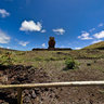 Anakena Beach : Moai Alone
