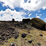 One Makihi (Seen from Back)
