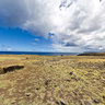 Lonely Moai (recto)