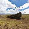 Lonely Moai (verso)