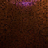 The Shower Experience