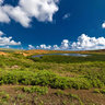 Inside Rano Raraku  : Approaching Moai Land