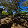Welcome To Rano Raraku