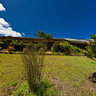 Hotel Otai : The Garden