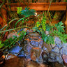 Wellness River