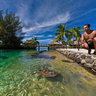 Playing With Turtles