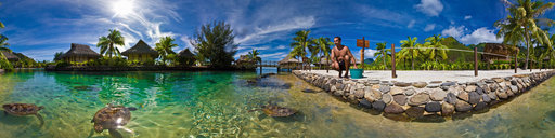 Playing With Turtles