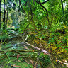 Bamboo Inside - Les 3 Cascades