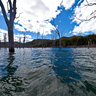 The Drowned Forest - Blue River Provincial Park