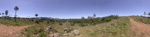 Parque Nacional El Palmar Argentina