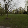 Spring in park Lužánky