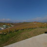 Vinarstvo Zlati Gric