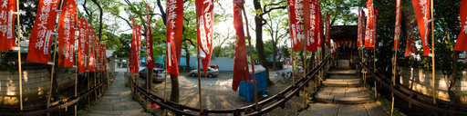 Bitch Goddess Shrine
