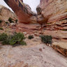 Hickman Natural Bridge, Capitol Reef National Park, Torrey, Utah, USA