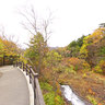 Waterfall of RYUZU_2