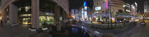 Shinjuku Kuyakusyo street