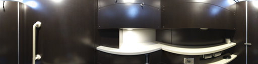 Shinjuku station toilet