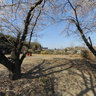 Enmyoin temple