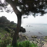 Black Sea / Unye