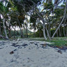 Industry Beach, Bequia Island (The Grenadines)