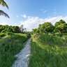 Tobago Cays - The Grenadines (Carribean)