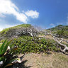 Tobago Cays - The Grenadines (Carribean)