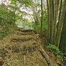Lower fall - Dark View Falls‎ (St. Vincent and the Grenadines)