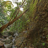 Dark View Falls‎ (St. Vincent and the Grenadines)