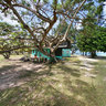 Giant Land Tortoise Sanctuary, Curieuse Island - Seychelles