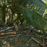 Giant Land Tortoise Sanctuary, Curieuse Island - Seychelles
