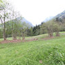 Rieder Alm