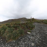 Buckles Bay on Macquarie Island