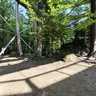 Nationalpark Bayerischer Wald - Im Baumei  inside the tree-egg
