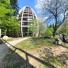 Nationalpark Bayerischer Wald - Das Baum-Ei-the tree-egg