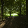 Park Green Zone