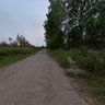 Road to the river - 2