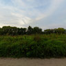 A road along Oka river