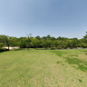 Grass field