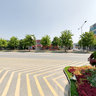 KINTEX Street Flowers