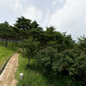 Hwaseong Haenggung high view