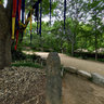Korean Folk Village - Wishing Tree