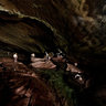 Udo - Cave