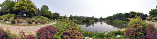 Pond