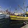 Puerto Penasco Rocky Point Shrimp Boats