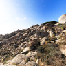 Capo Testa