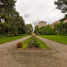 Cernin Garden