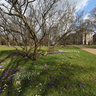 spring in the palace garden