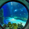 Hagenbeck Tropical Aquarium